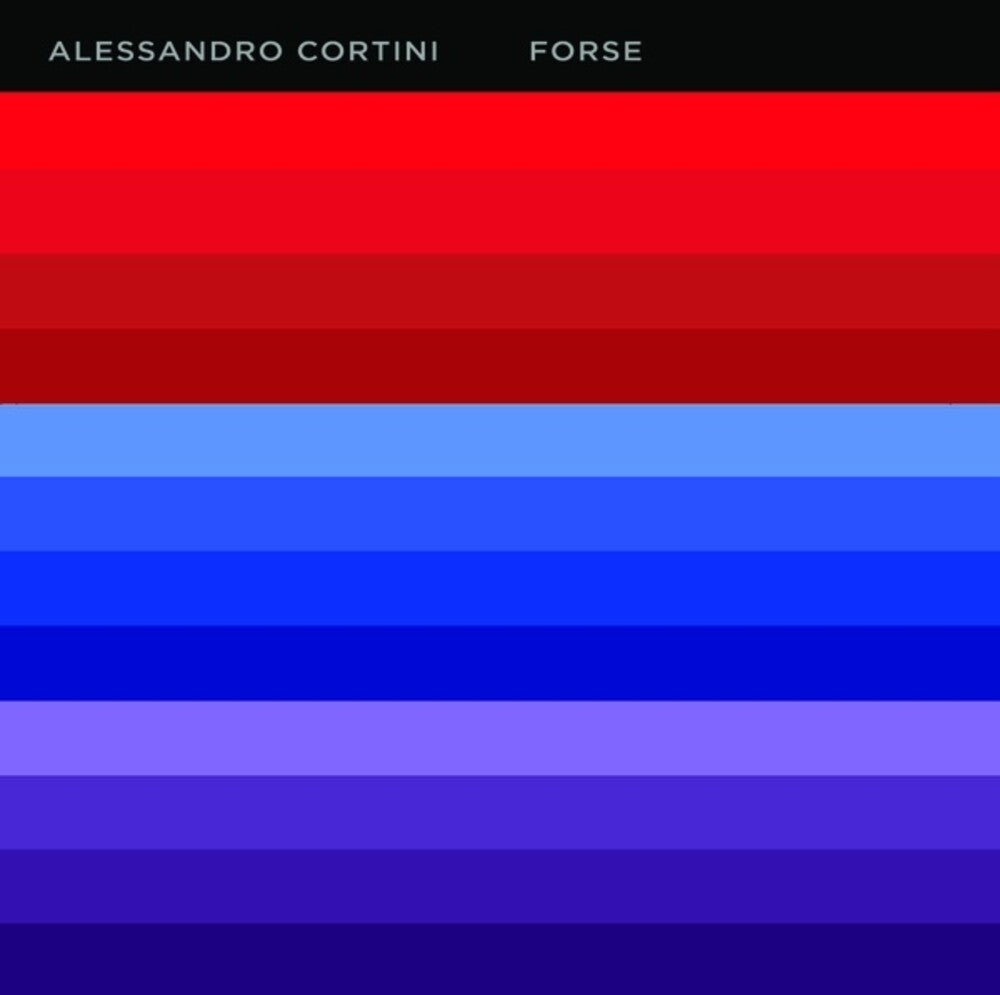 the album cover for Alessandro Cortini - Forse