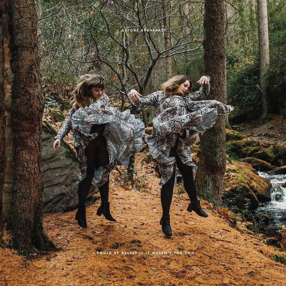 the album cover for Before Breakfast - I Could Be Asleep If It Weren't For You [Colored Vinyl]