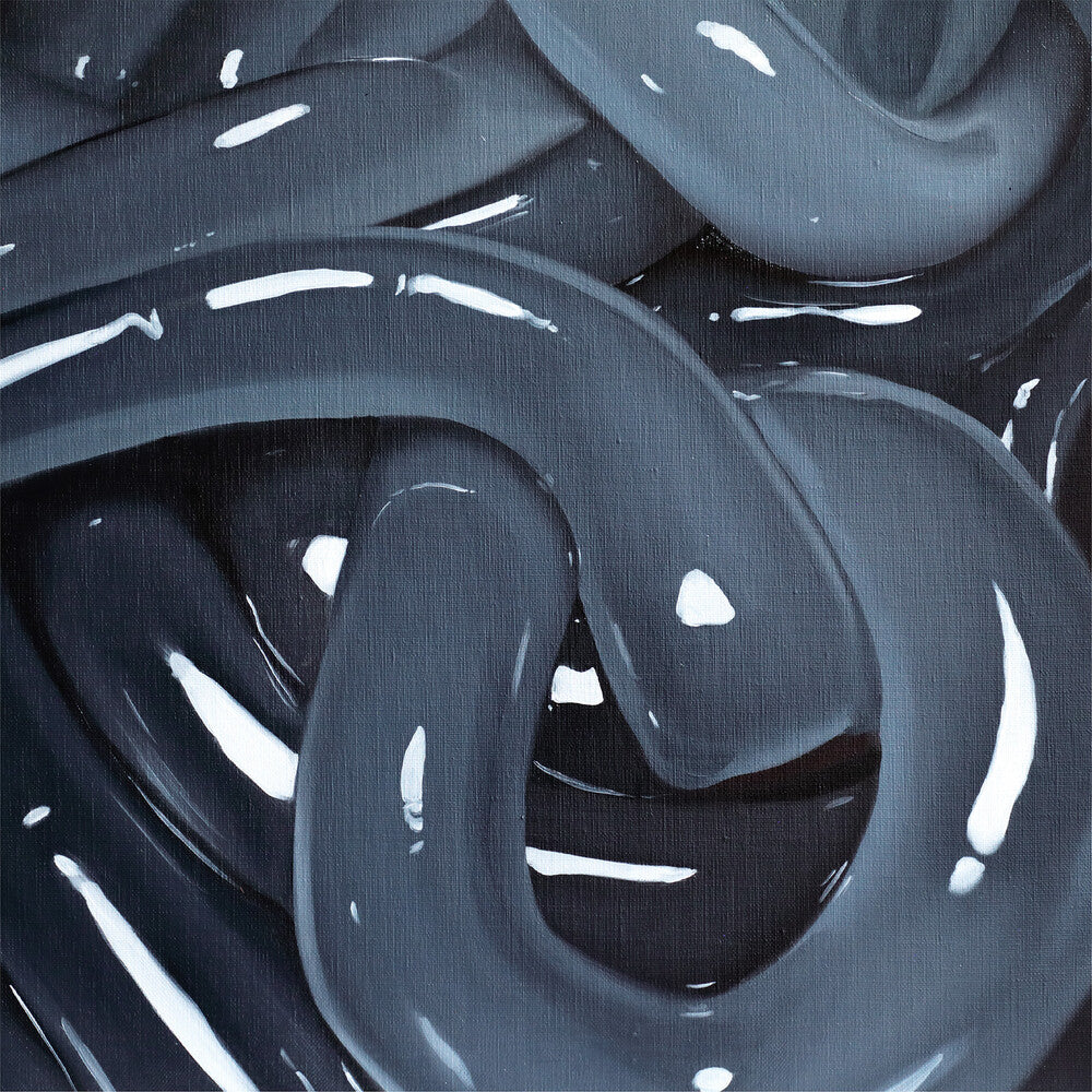 the album cover for Boris - W