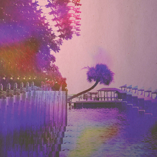 the album cover for Lannds - Lotus Deluxe [Pink LP]