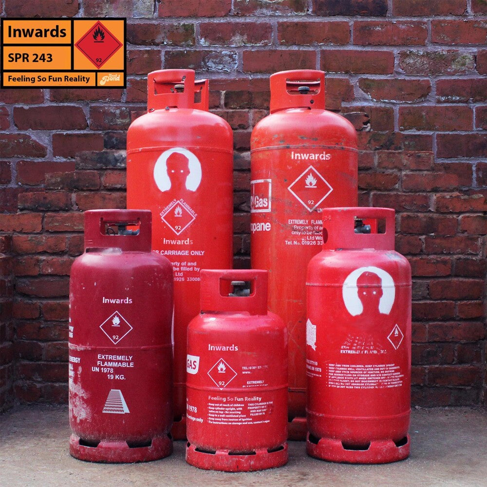 the album cover for Inwards - Feeling So Fun Reality [Colored Vinyl] (Grn) [Limited Edition]