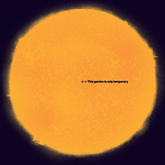 the album cover for Andy White - This Garden Is Only Temporary (Uk)