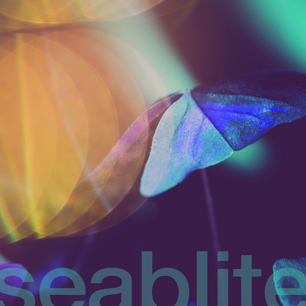 the album cover for Seablite - Breadcrumbs