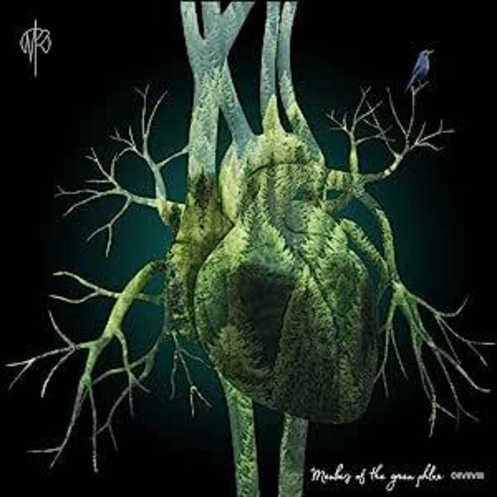 the album cover for Martin Rubashov - Members Of The Green Phlox (Uk)