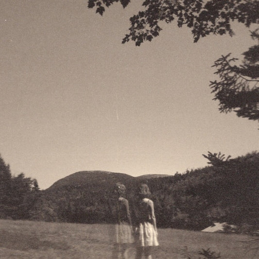 the album cover for Goldmund - Malady Of Elegance