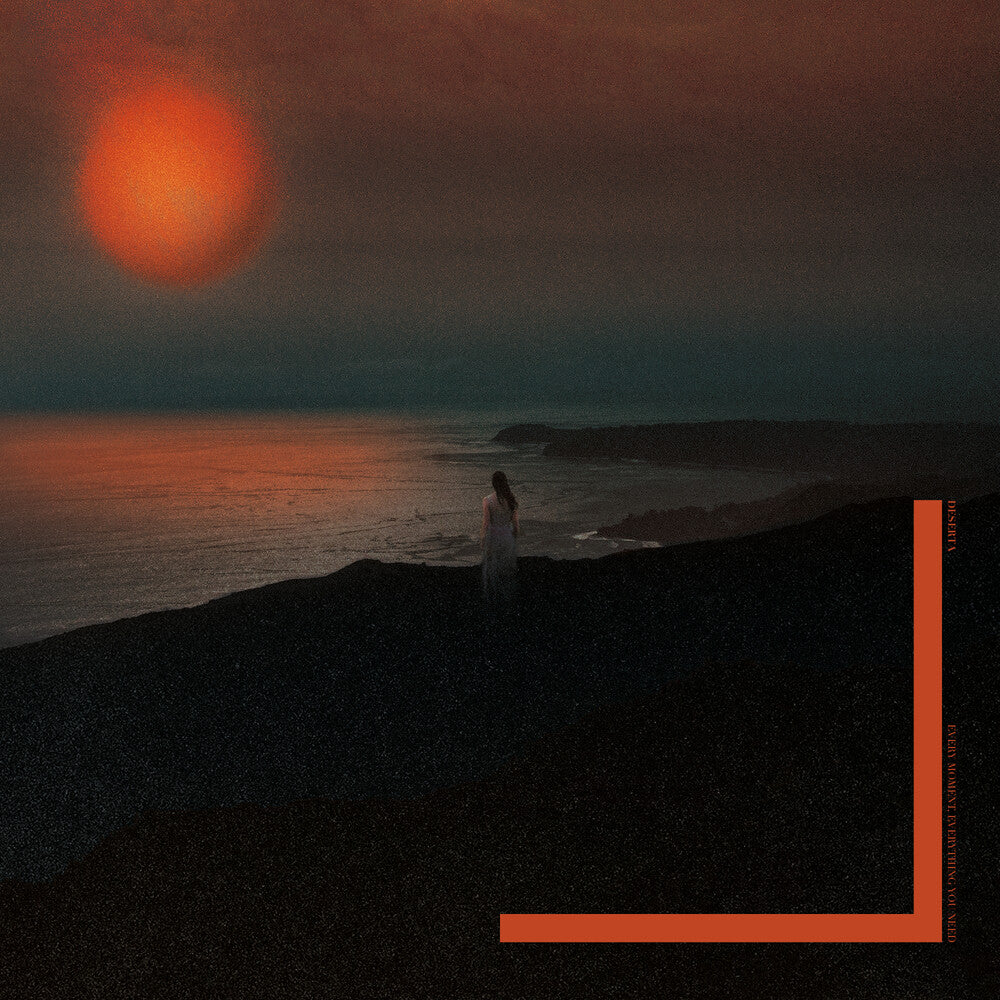 the album cover for Deserta - Every Moment, Everything You Need