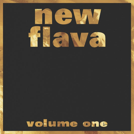 the album cover for New Flava Vol. 1 / Various - New Flava Vol. 1 / Various