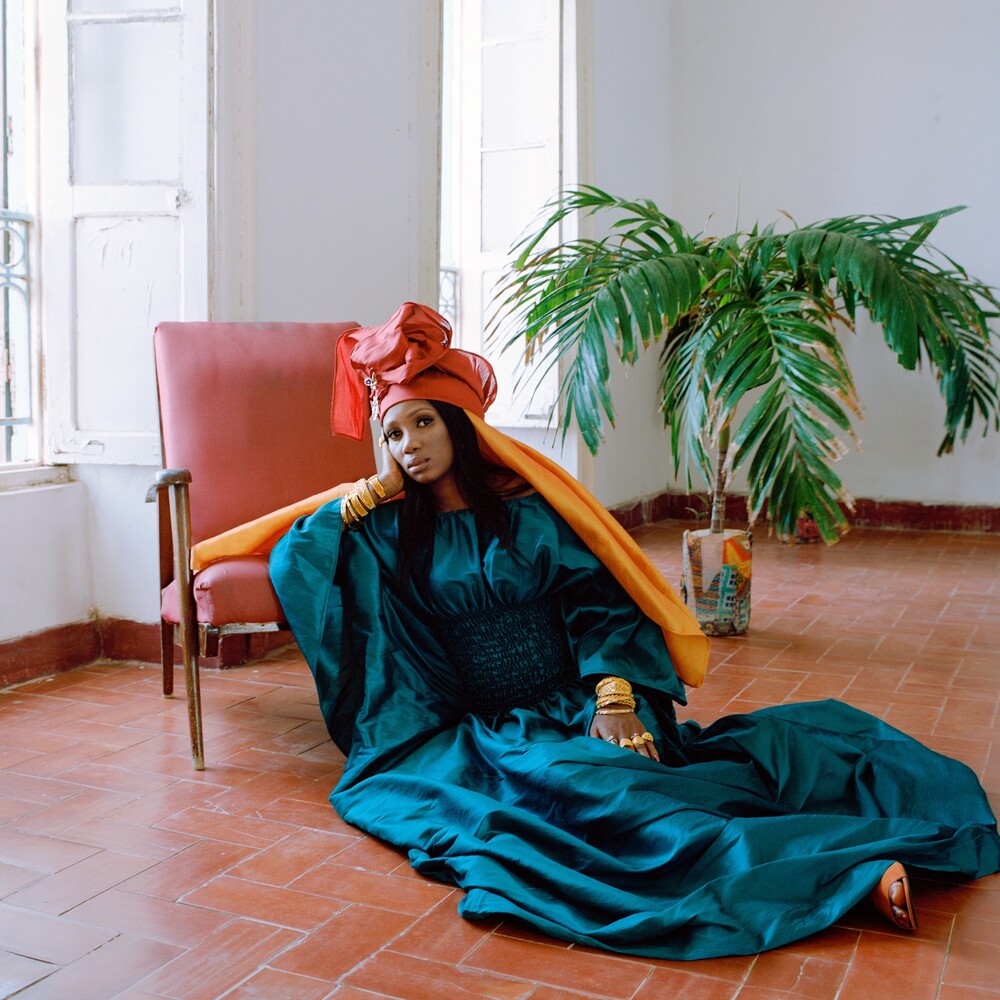 the album cover for Rokia Koné/Jacknife Lee - Bamanan