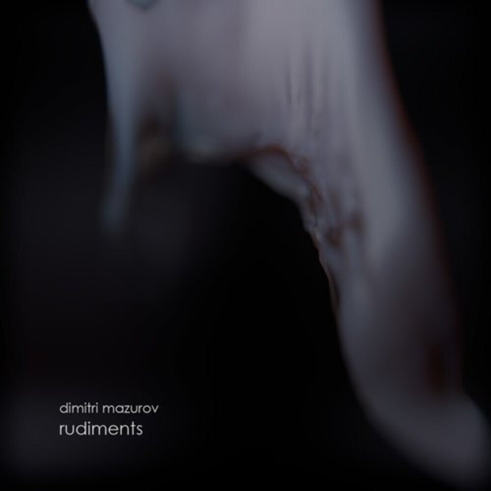 the album cover for Dimitri Mazurov - Rudiments