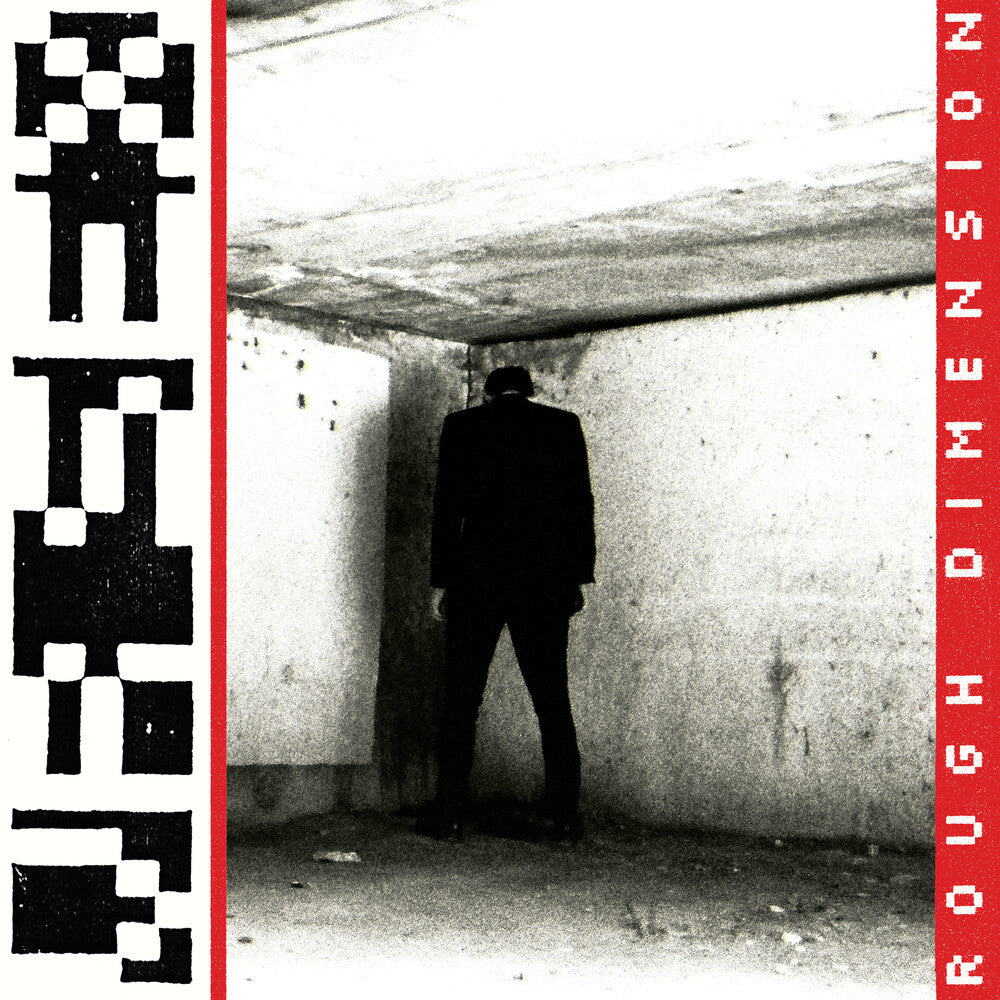 the album cover for VR SEX - Rough Dimension