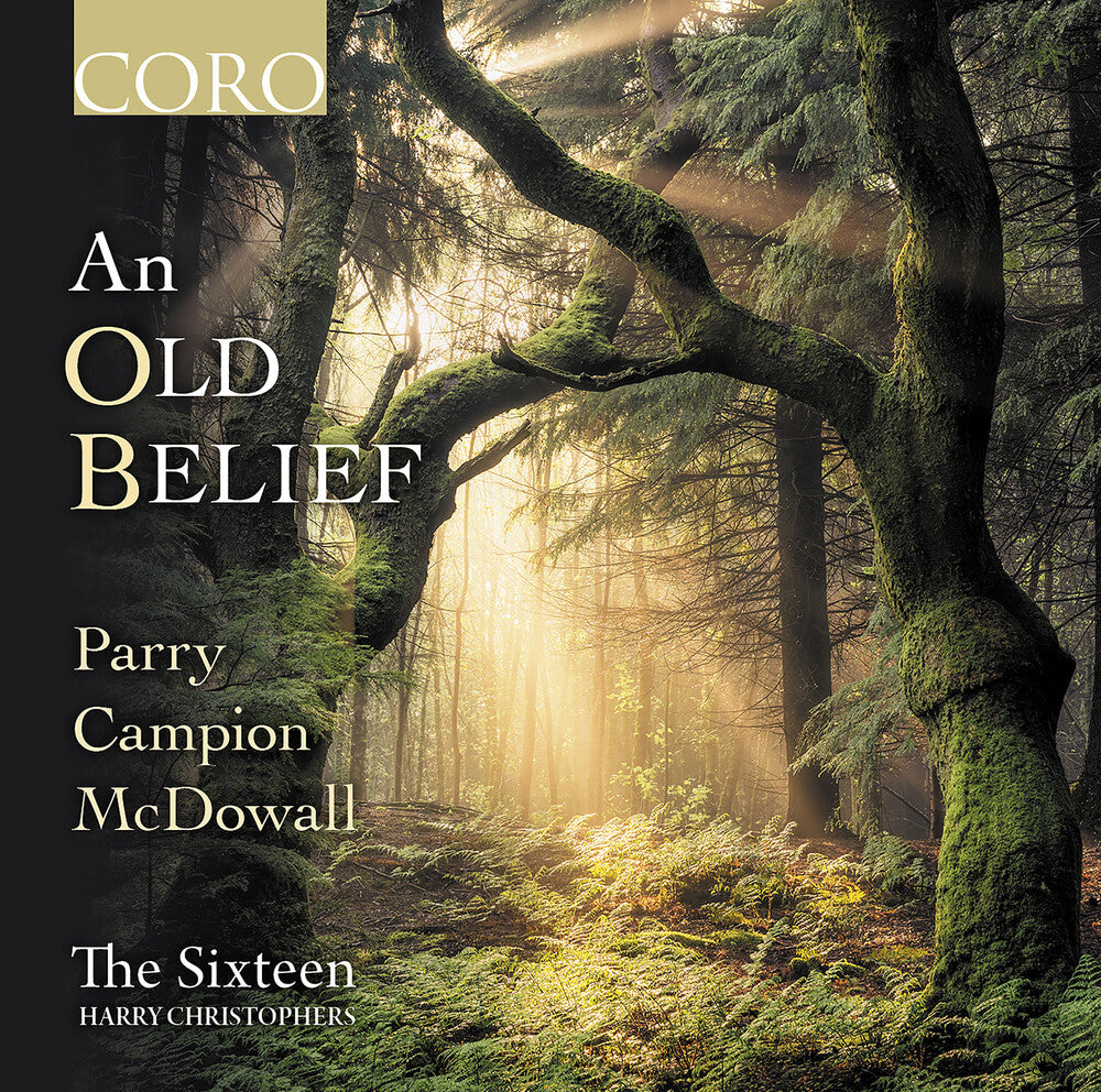 the album cover for An Old Belief / Various - An Old Belief / Various