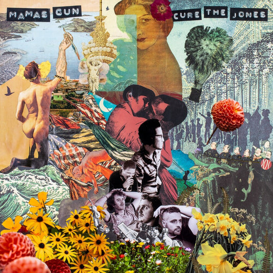 the album cover for Mamas Gun - Cure The Jones