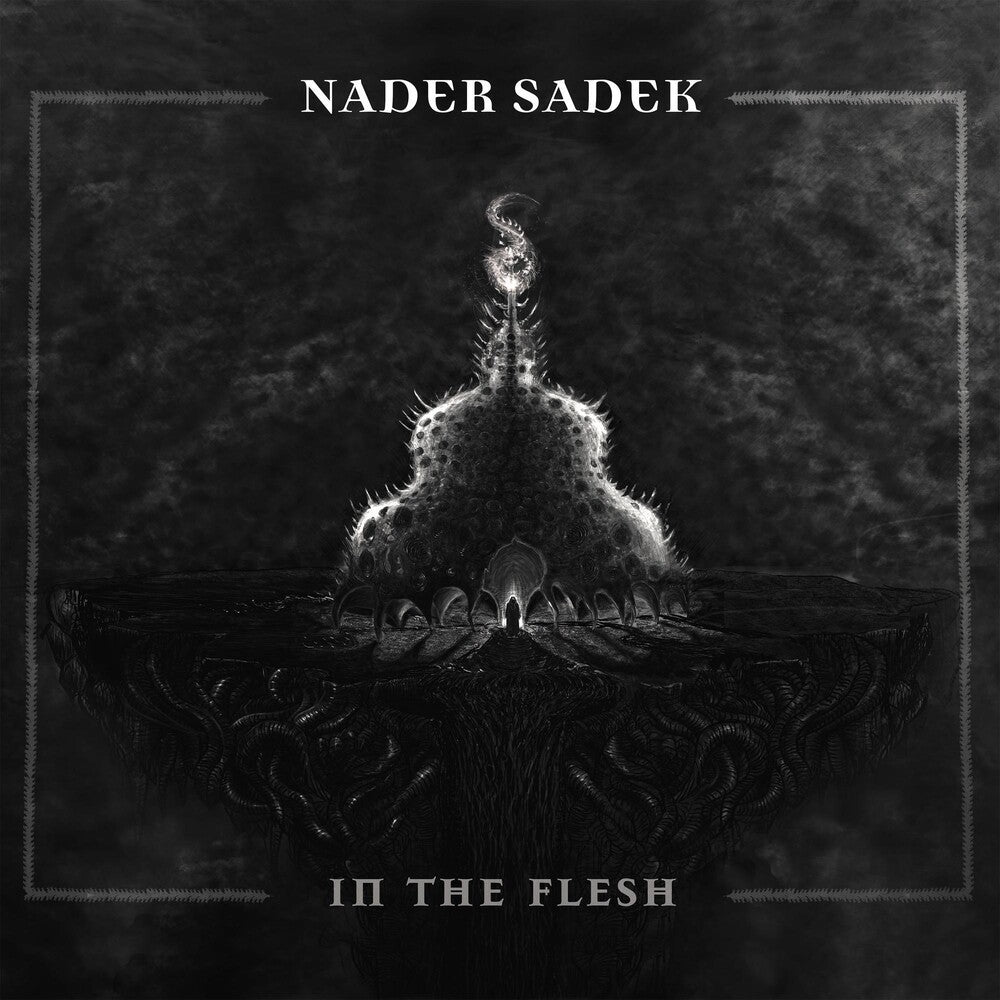 the album cover for Nader Sadek - In The Flesh