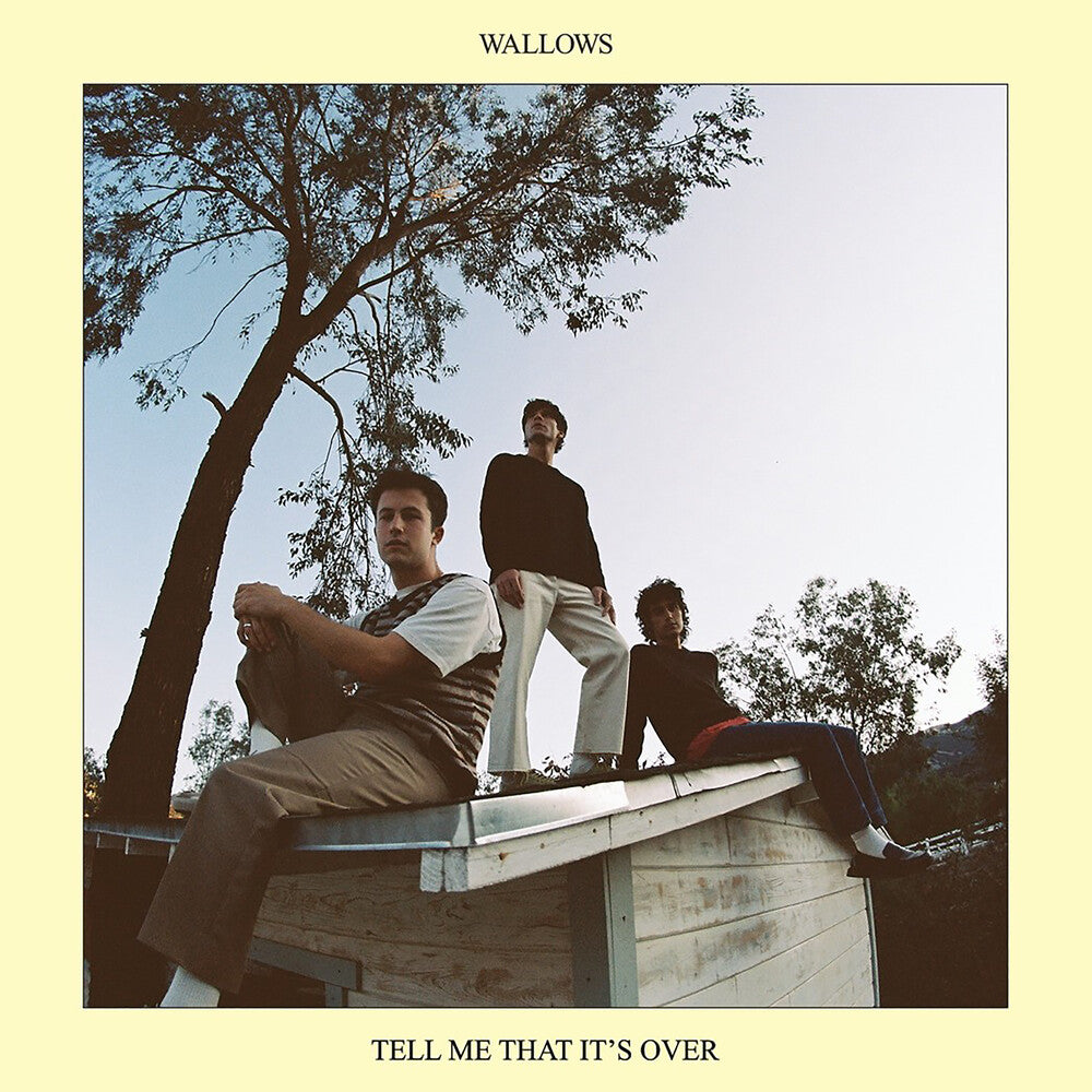 Wallows - Tell Me That It’s Over [CD]