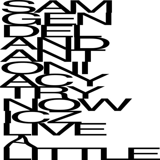 the album cover for Sam Gendel  / Cytrynowicz,Antonia - Live A Little