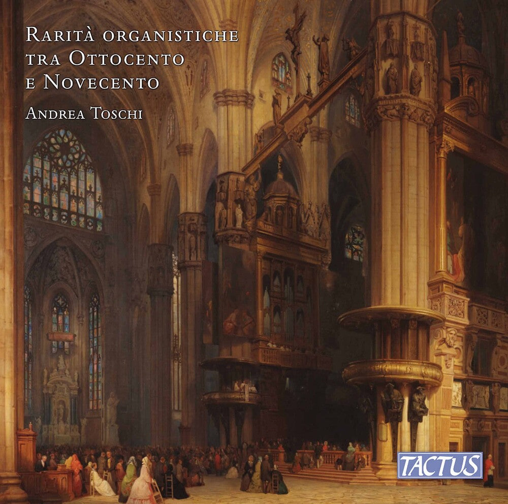 the album cover for Rare 19th & 20th Century Organ / Various (2pk) - Rare 19th & 20th Century Organ / Various (2pk)