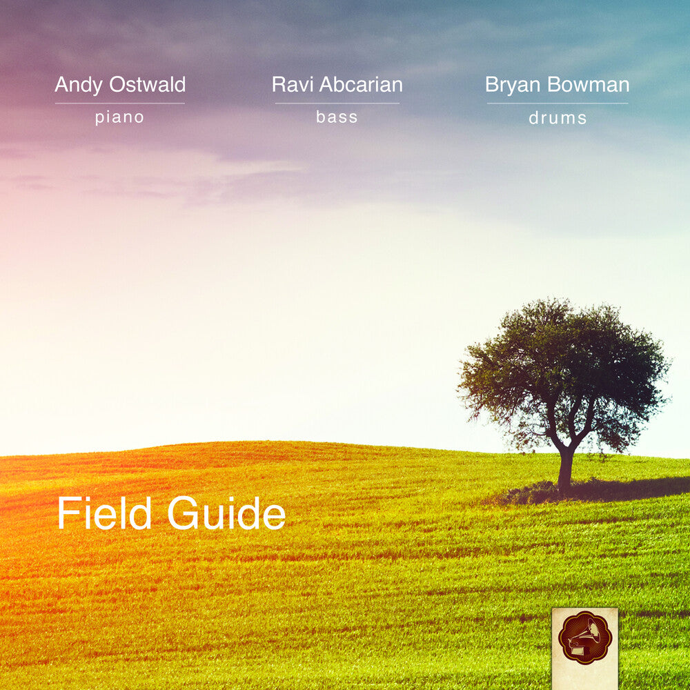 the album cover for Andy Ostwald  Trio - Field Guide