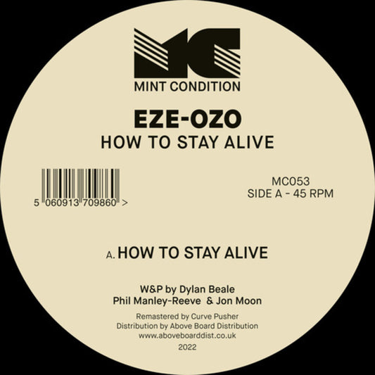 the album cover for Eze-Ozo - How To Stay Alive