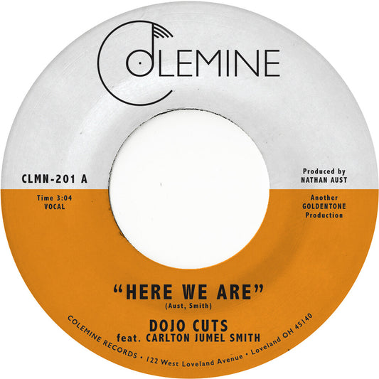 the album cover for Dojo Cuts - Here We Are (Coke Bottle Clear) [Colored Vinyl] [Clear Vinyl]