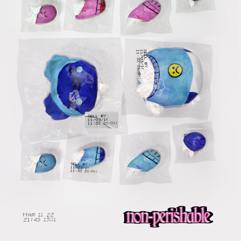 the album cover for Tobi Lou - Non-Perishable