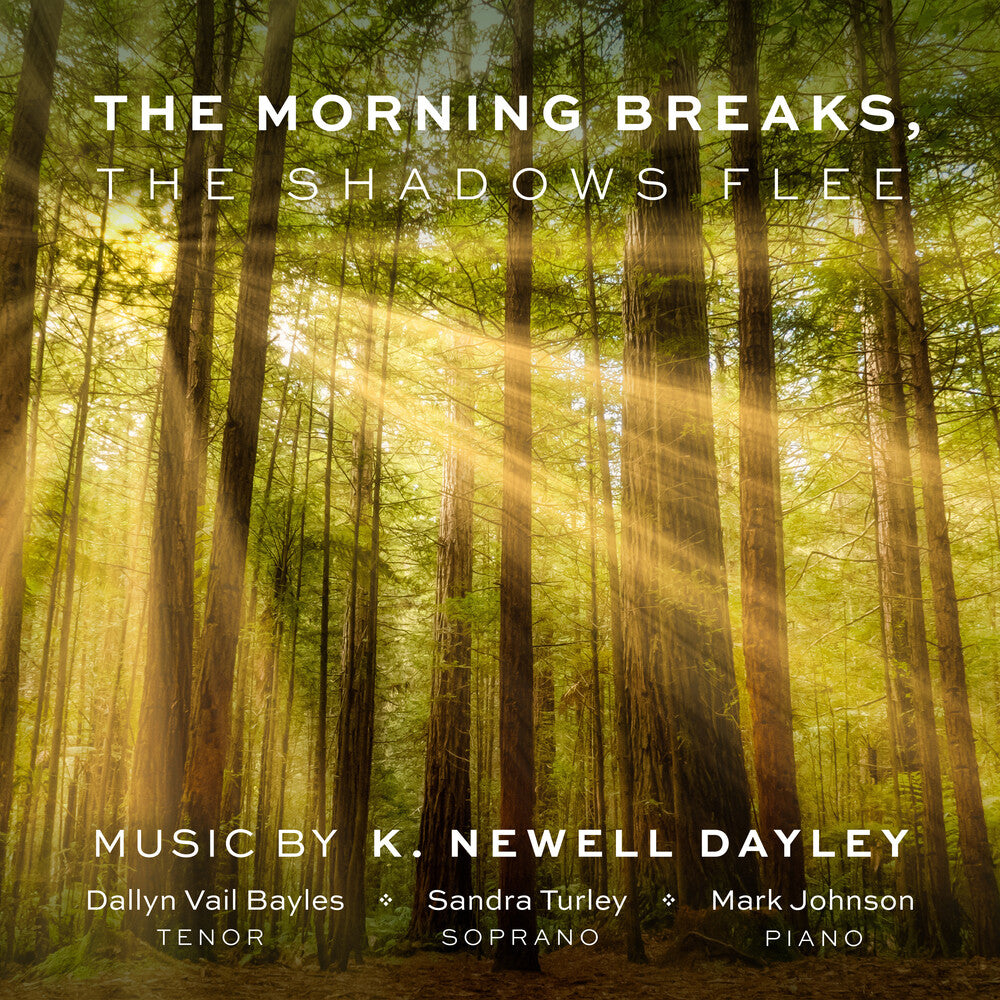the album cover for Blake / Johnson / Turley - Morning Breaks Shadows Flee