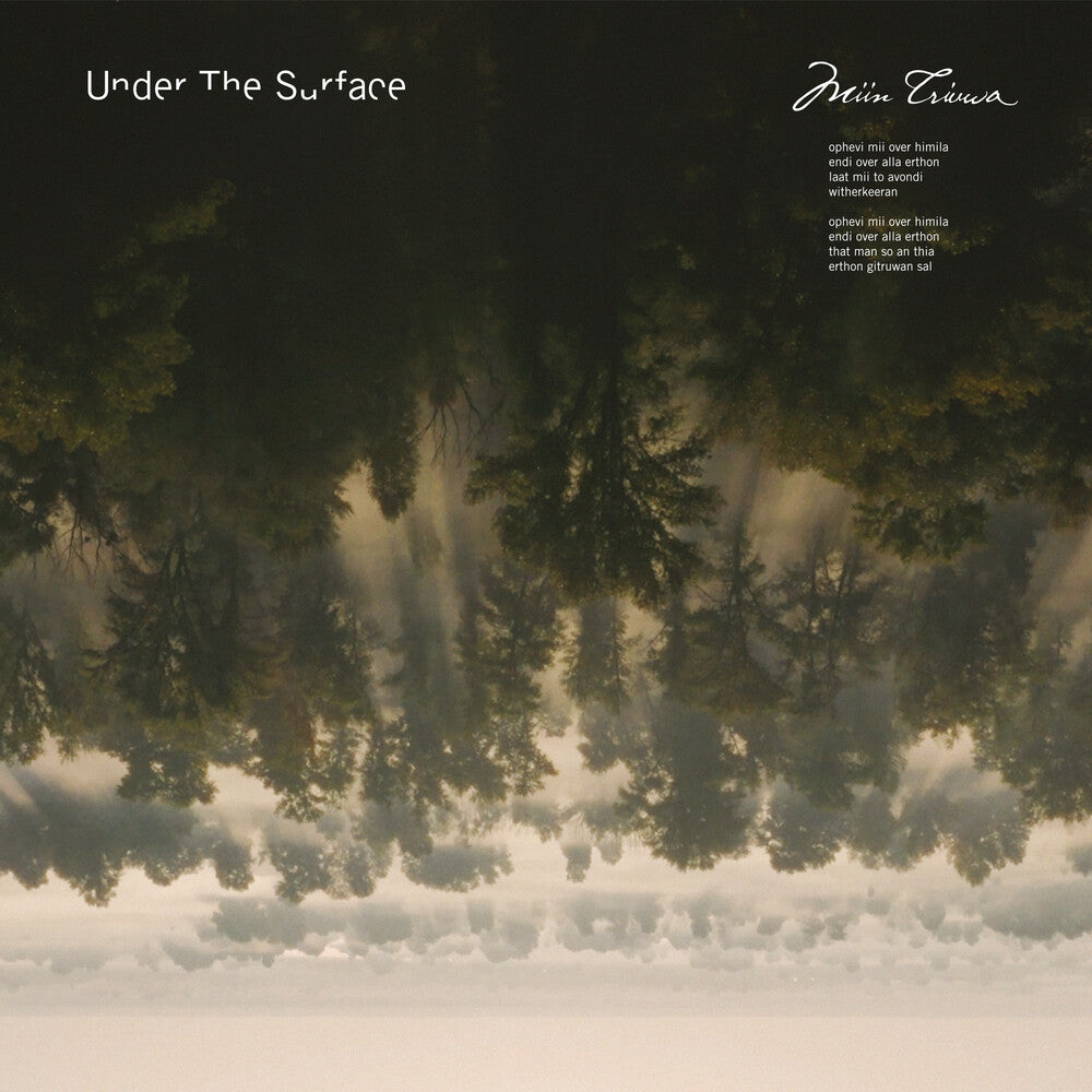 the album cover for Stadhouders / Under The Surface - Miin Triuwa