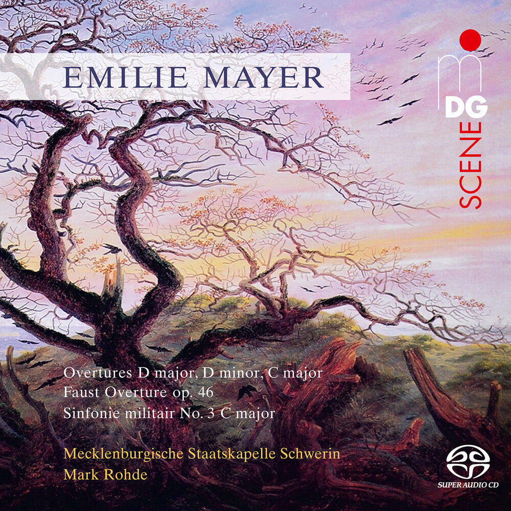 the album cover for Mayer - Overtures D Major (Hybr)