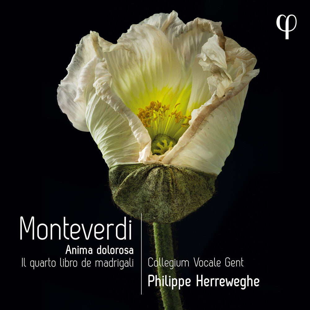 the album cover for Monteverdi / Collegium Vocale Gent / Herreweghe - Il Quarto Libro De