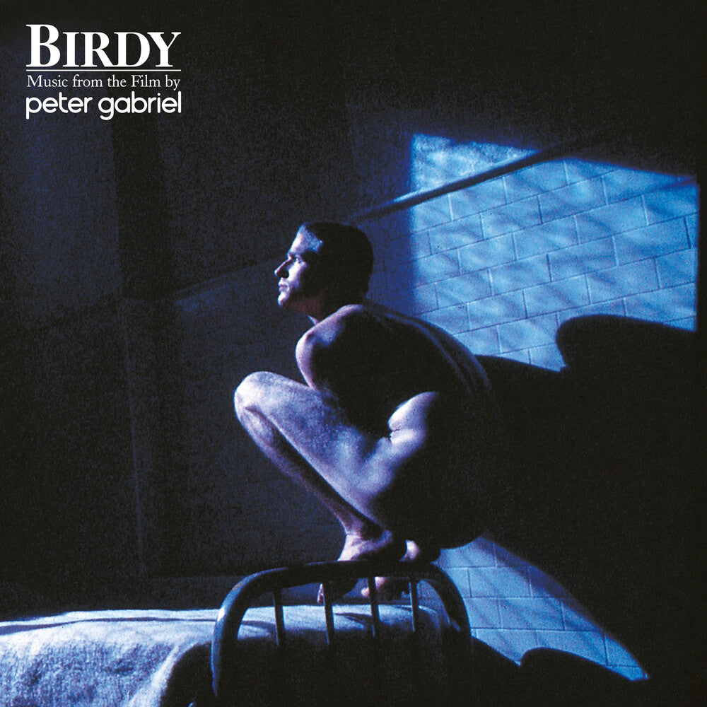 the album cover for Peter Gabriel - Birdy: Music From The Film