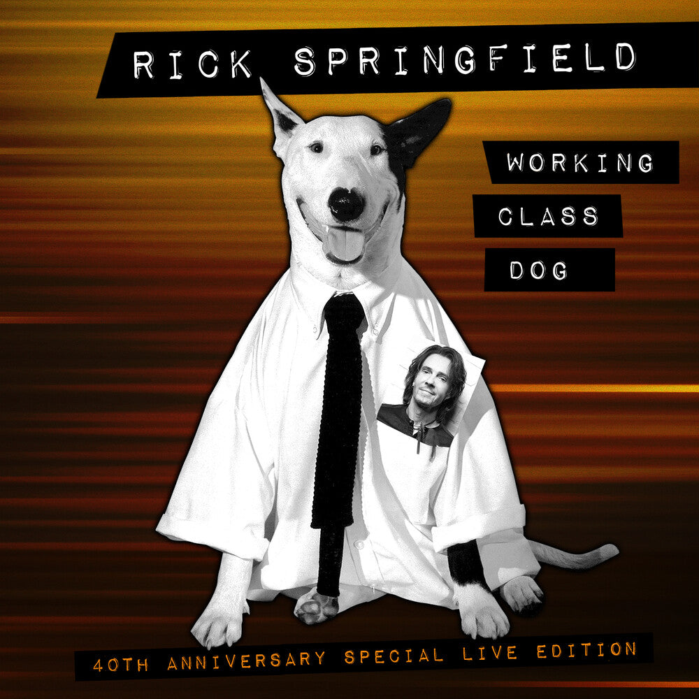 the album cover for Rick Springfield - Working Class Dog: 40th Anniversary Special Live Edition [CD/DVD]