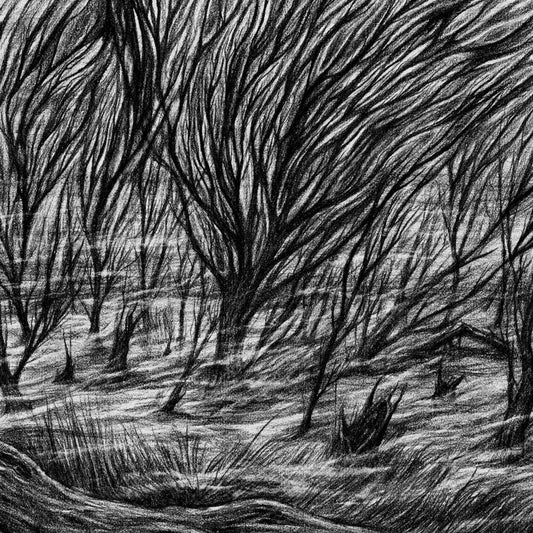 the album cover for Bismuth - The Eternal Marshes