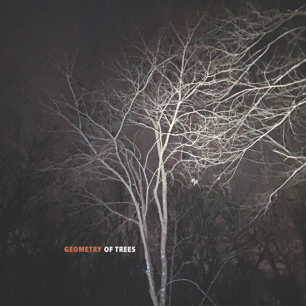 the album cover for Tomeka Reid - Geometry Of Trees