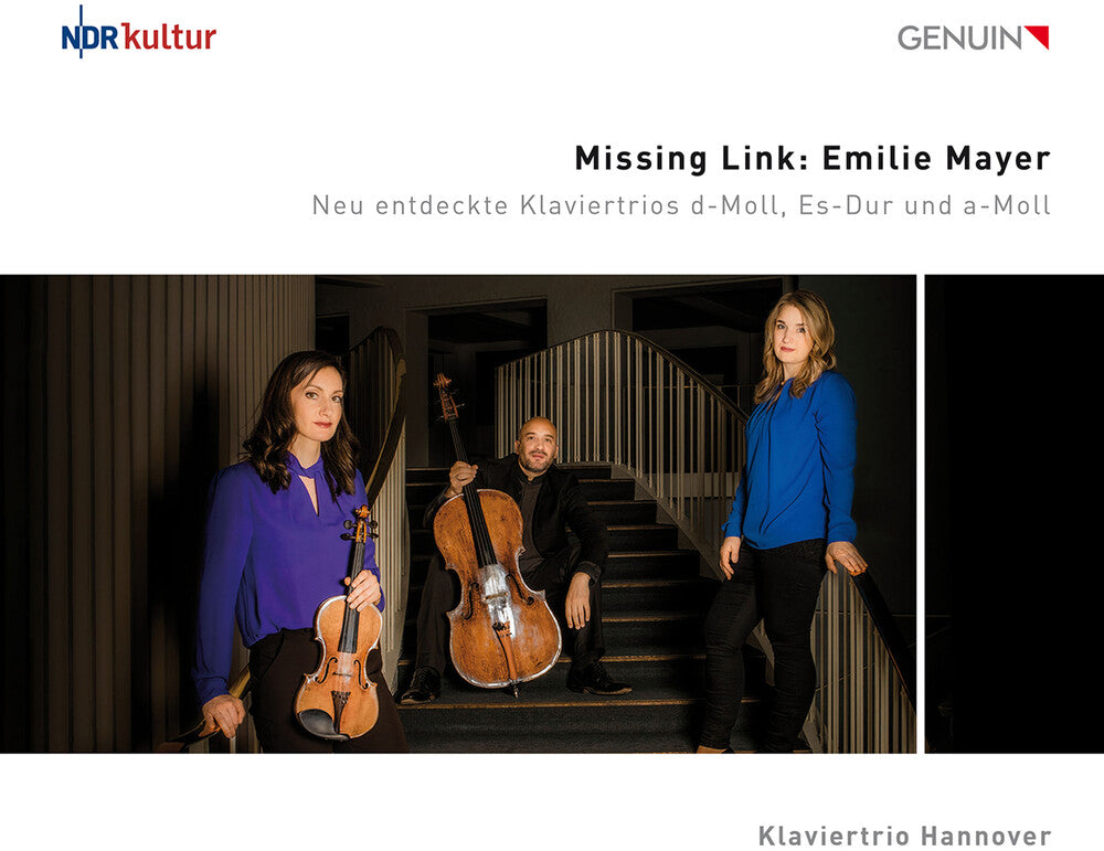 the album cover for Mayer / Klaviertrio Hannover - Missing Link