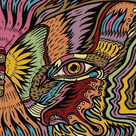 the album cover for Tronosonic Experience - Shadow Vol 2 (Uk)