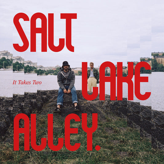 the album cover for Salt Lake Alley - It Takes Two