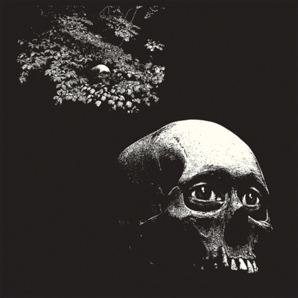 the album cover for Osees - Foul Form