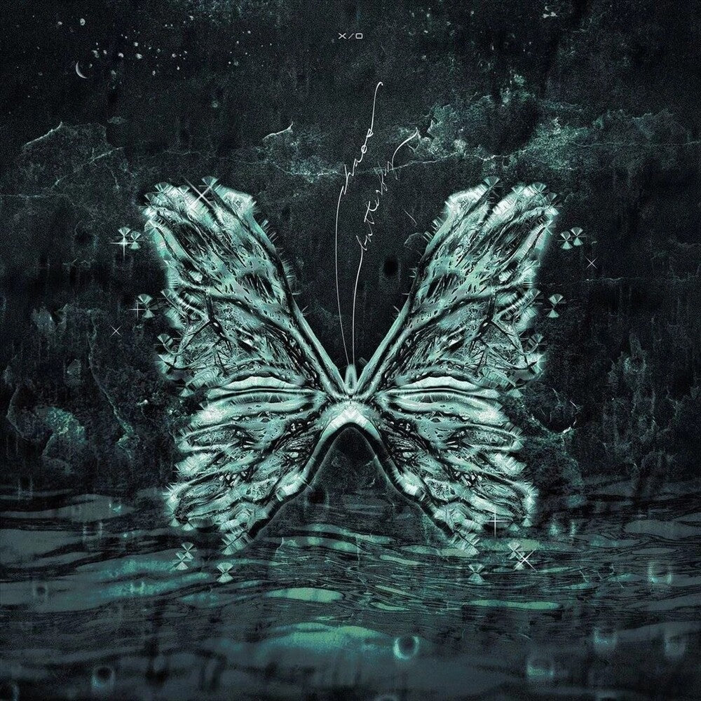 the album cover for X/O - Chaos Butterfly (Aqu) [Colored Vinyl] (Can)