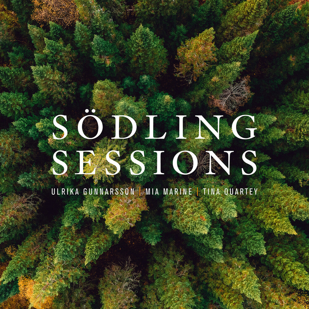 the album cover for Gunnarsson / Marine / Quartey - Sodling Sessions