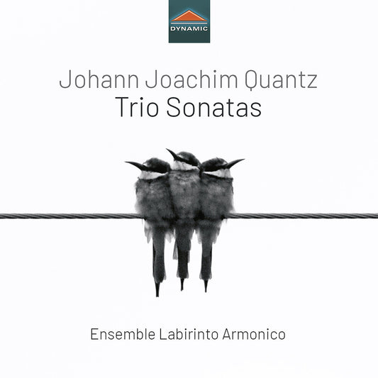 the album cover for Quantz / Ensemble Labirinto Armonico - Trio Sonatas