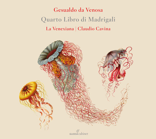the album cover for Gesualdo / La Venexiana - Quarto Libro Di Madrigali