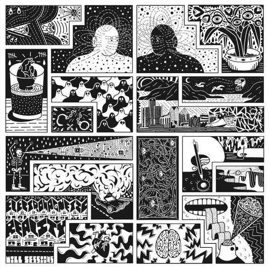 the album cover for Will Sessions - Electromagnetic Reality