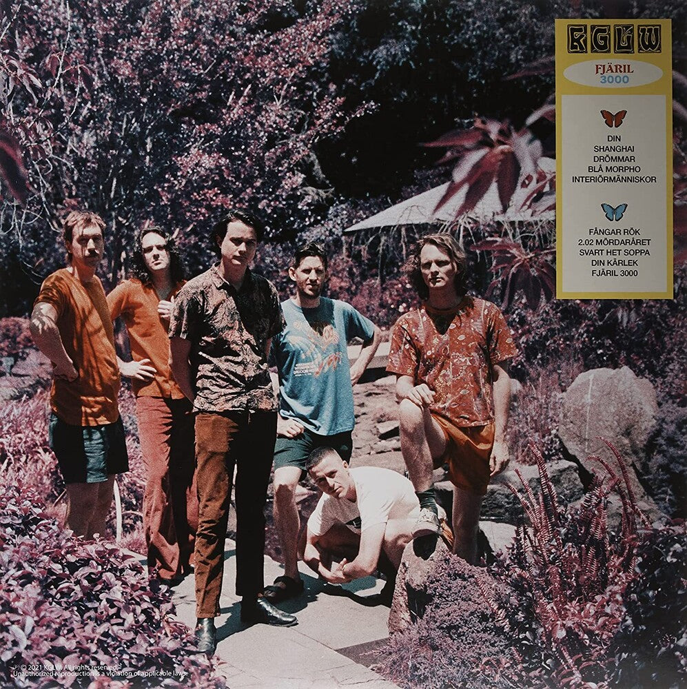 King Gizzard & The Lizard Wizard - Butterfly 3000 [Indie Exclusive Limited Edition Swedish LP]