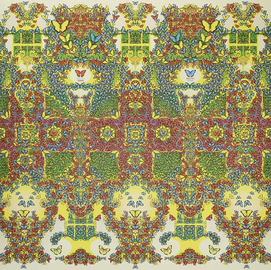 the album cover for King Gizzard & The Lizard Wizard - Butterfly 3000 [Indie Exclusive Limited Edition Polish LP]