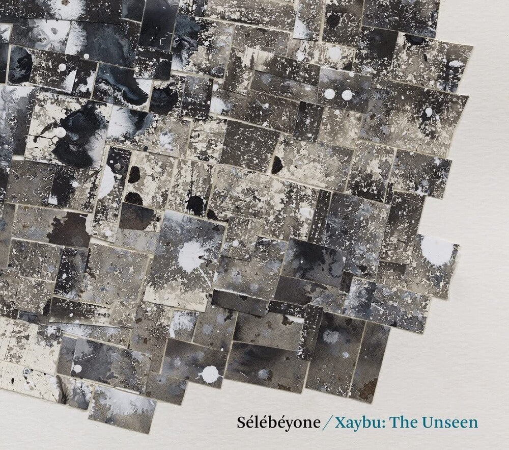 the album cover for Steve Lehman  / Selebeyone - Xaybu: The Unsee