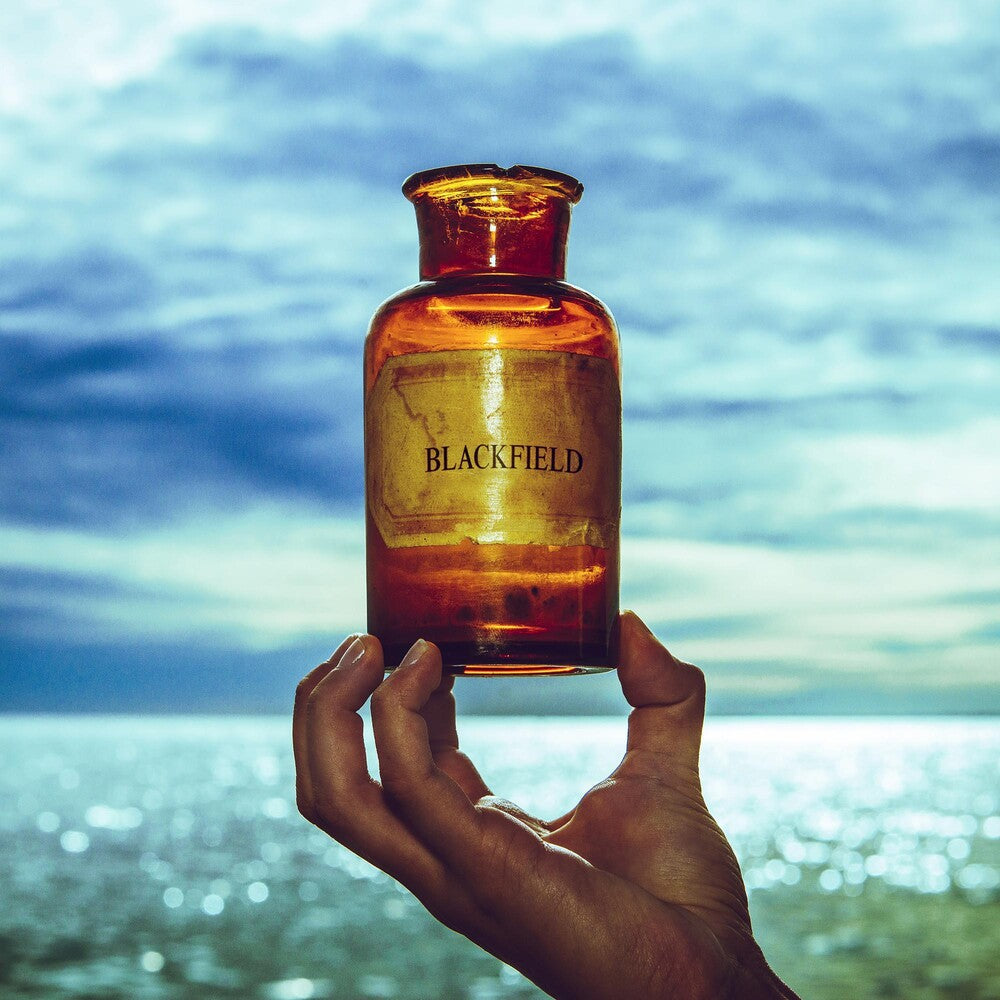 the album cover for Blackfield - Blackfield V
