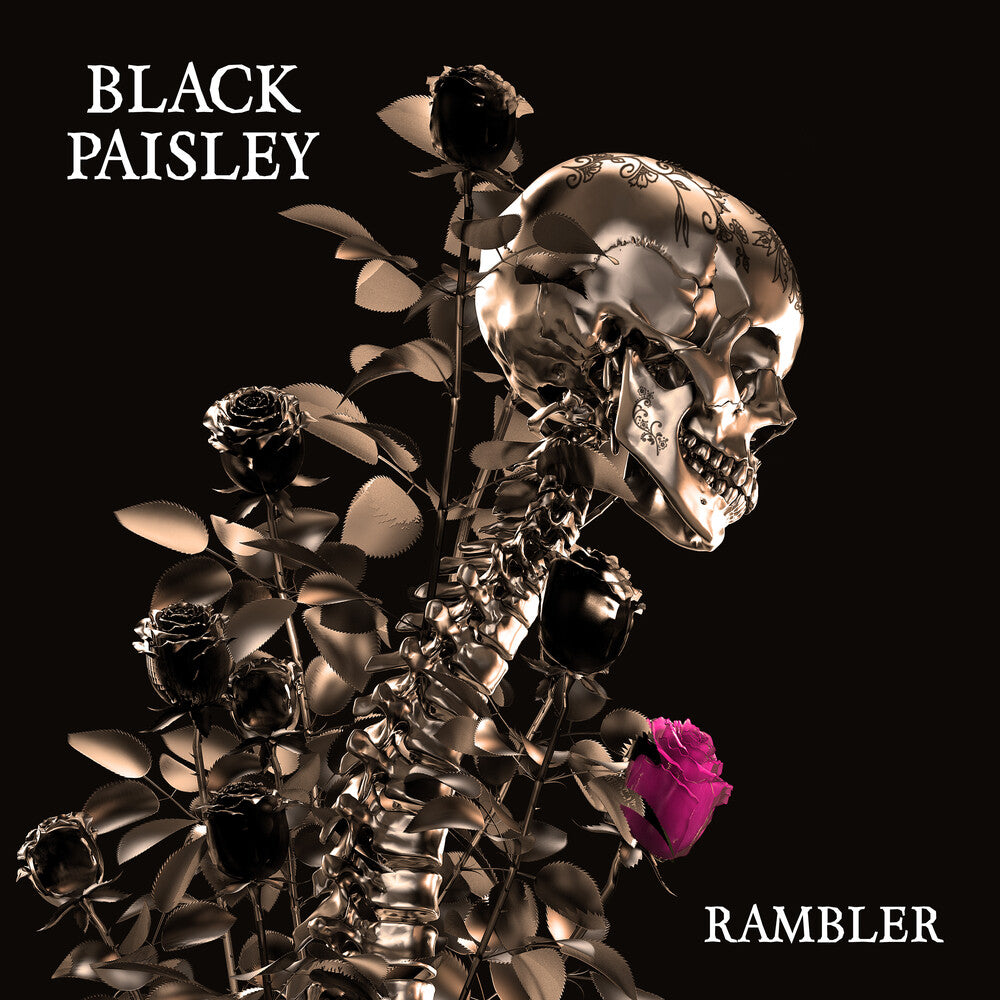 the album cover for Black Paisley - Rambler