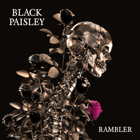the album cover for Black Paisley - Rambler