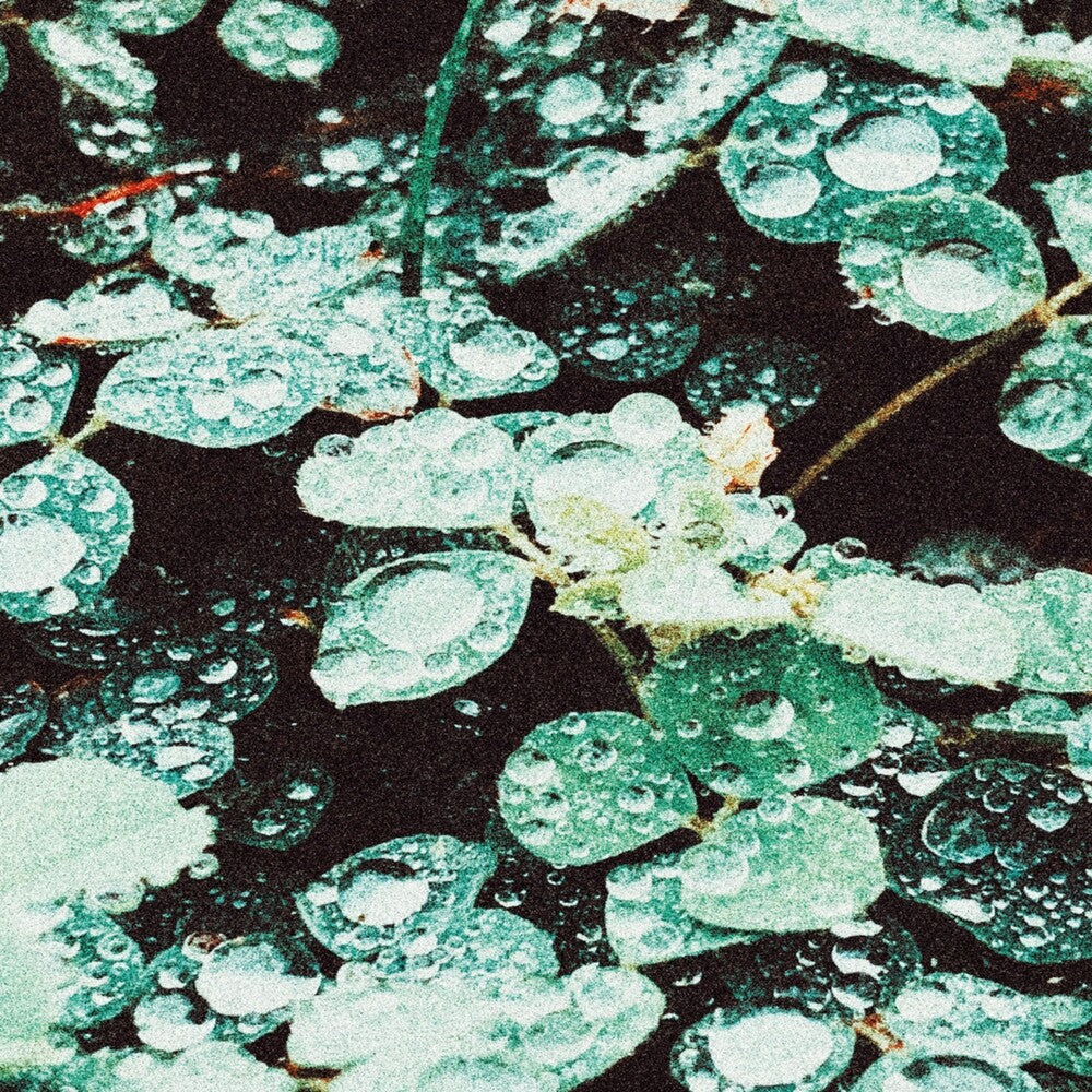 the album cover for Sadness - Rain Chamber