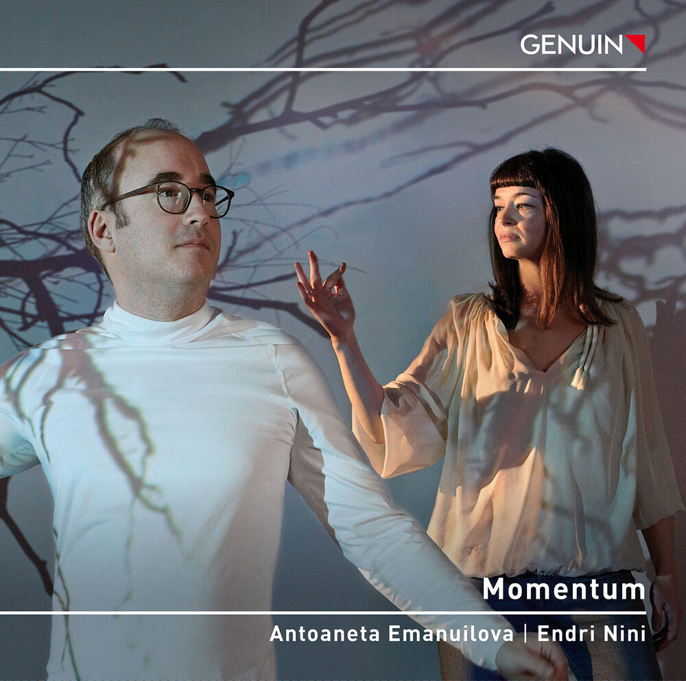 the album cover for Beethoven / Antoaneta Emanuilova / Nini - Momentum