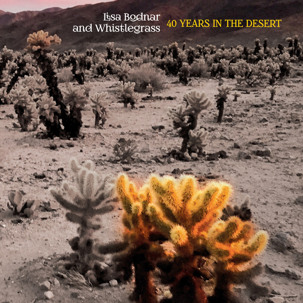 the album cover for Lisa Bodnar  & Whistlegrass - 40 Years In The Desert